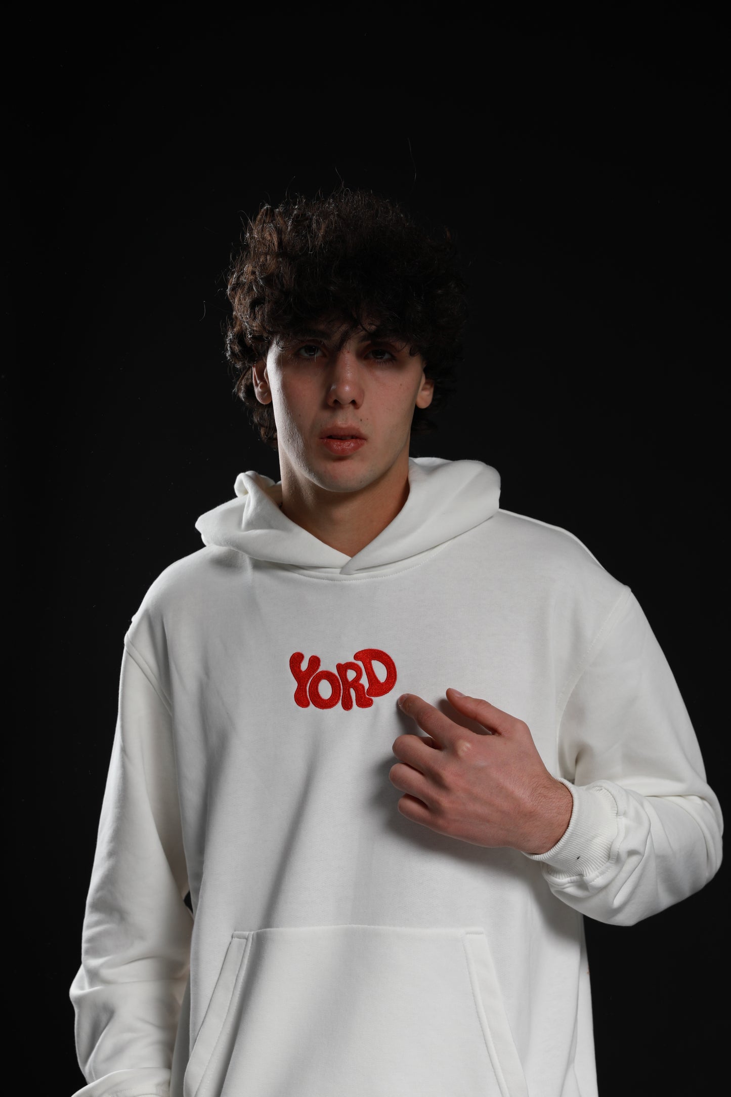 "Alien" embroidery-logo cotton hoodie
